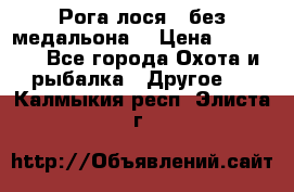 Рога лося , без медальона. › Цена ­ 15 000 - Все города Охота и рыбалка » Другое   . Калмыкия респ.,Элиста г.